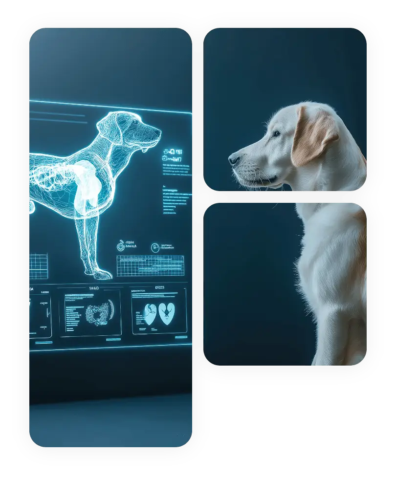 Axion communications veterinarian concept showing a digital dog X-ray scan alongside a real dog profile.